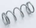 Bosch Spring - Knopffeder